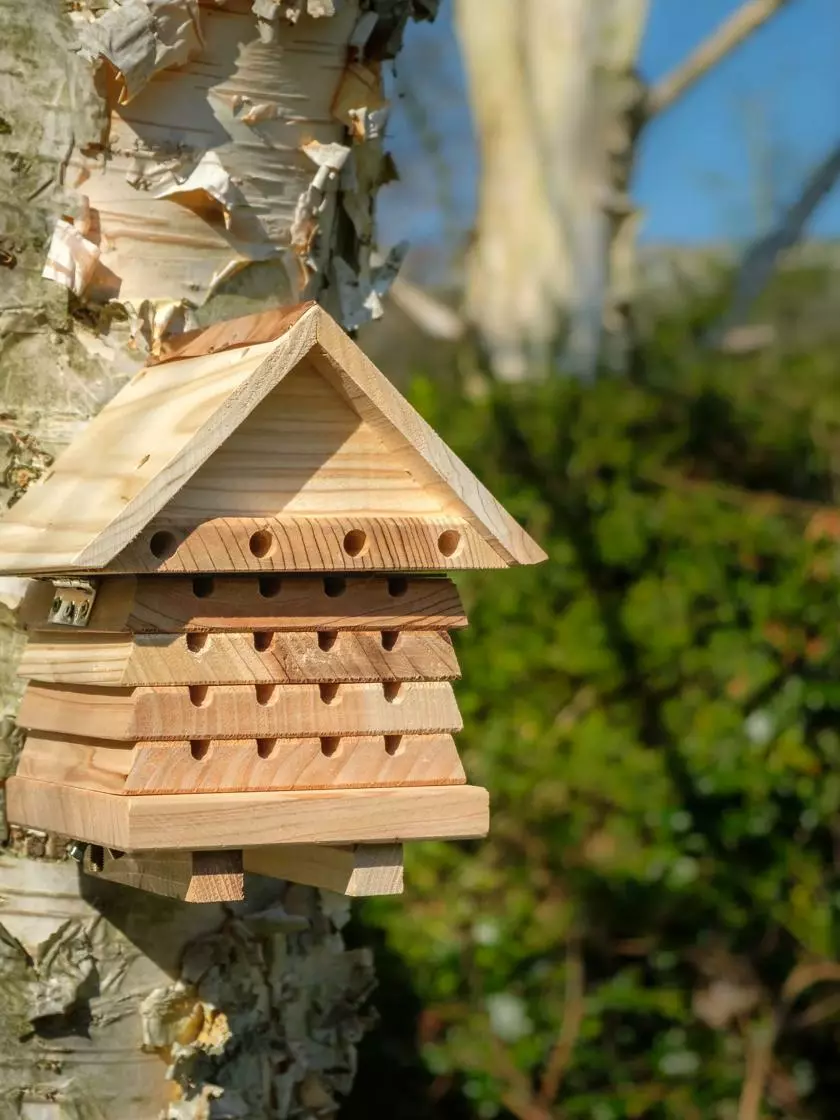 GSC Solitary Bee Hive - Image 6