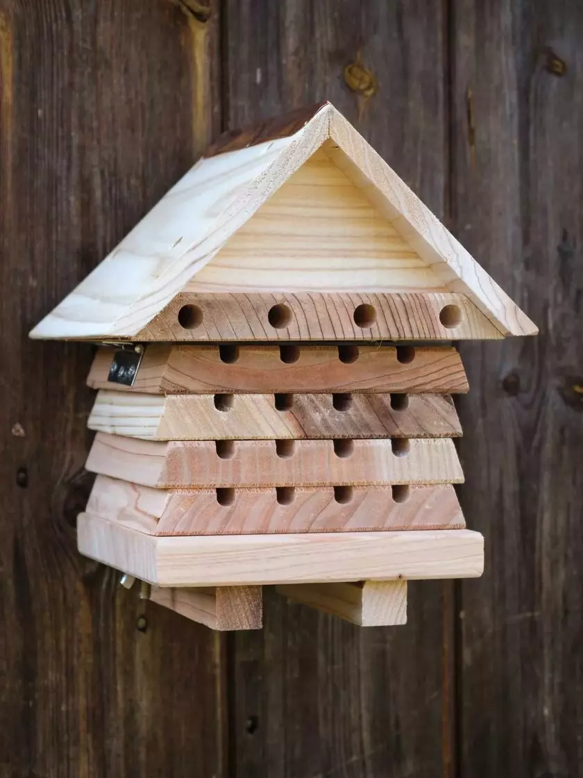 GSC Solitary Bee Hive - Image 4