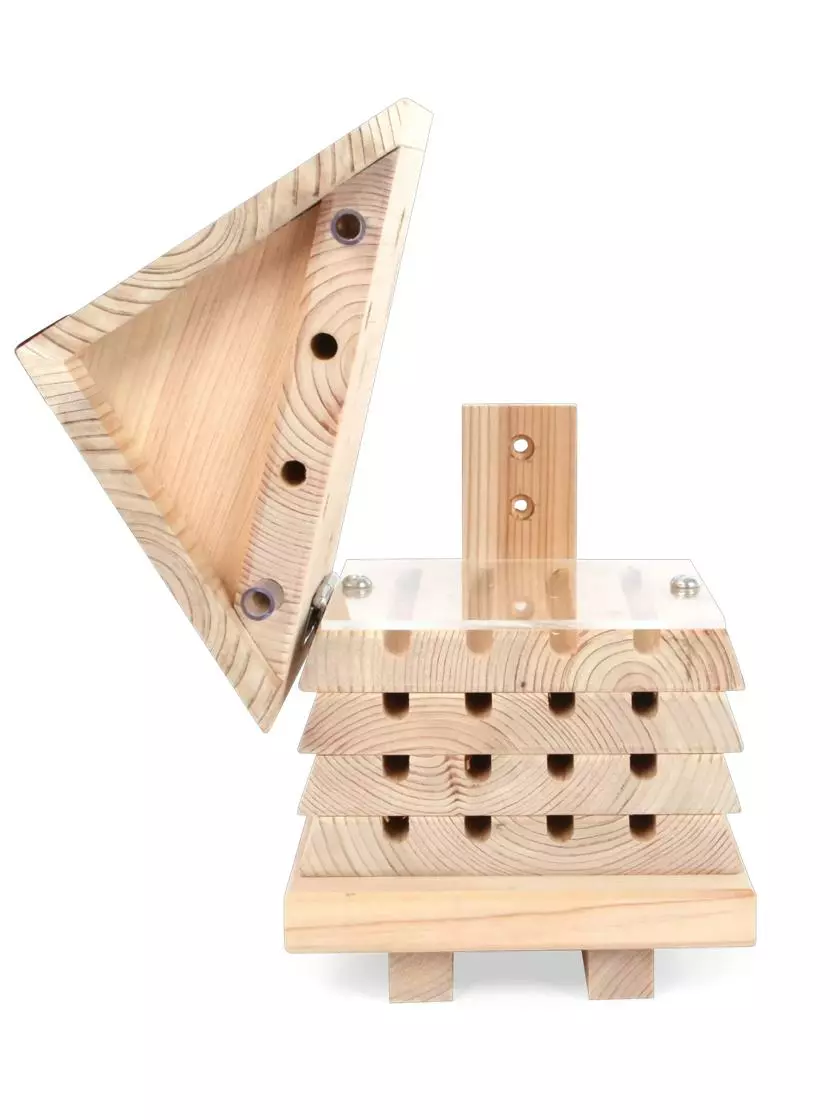 GSC Solitary Bee Hive - Image 3