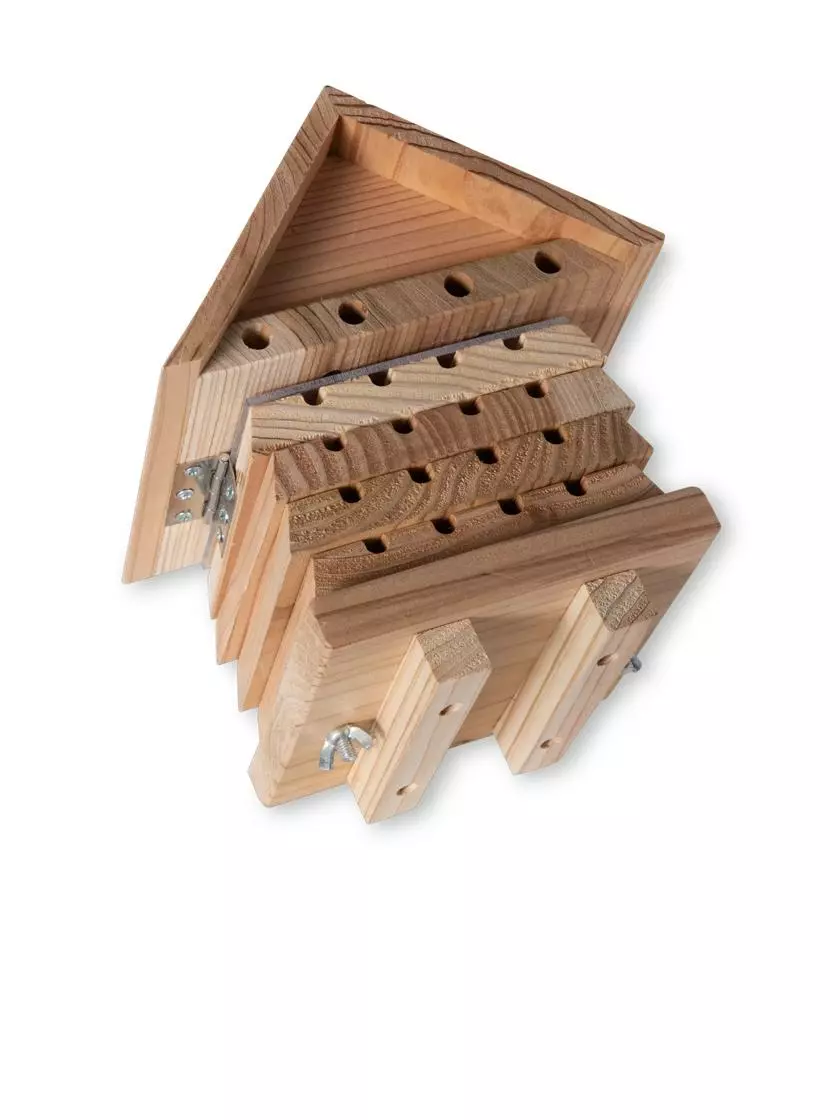 GSC Solitary Bee Hive - Image 2