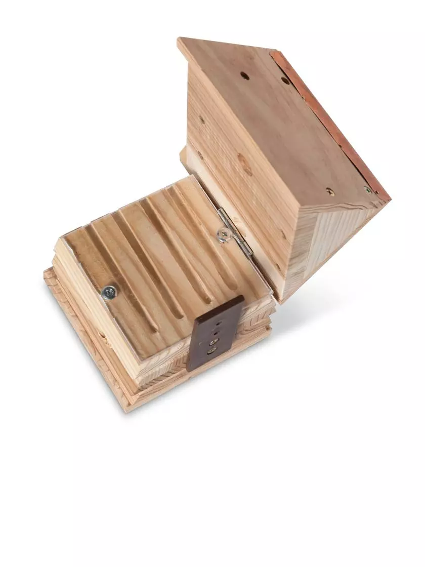 GSC Solitary Bee Hive - Image 5