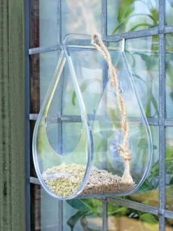 GSC Dewdrop Window Bird Feeder