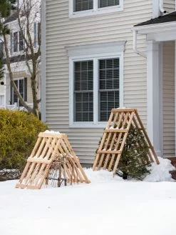 GSC Cedar Shrub Guard