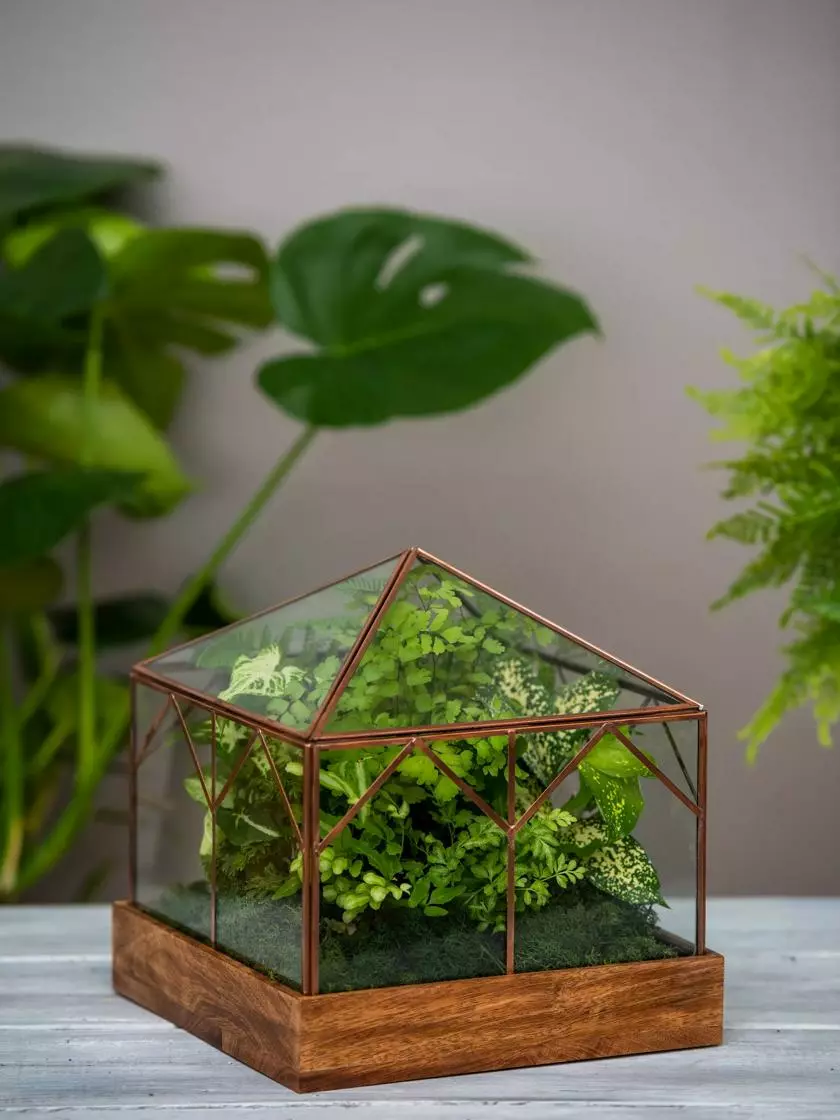 GSC Art Decco Copper And Glass Terrariums