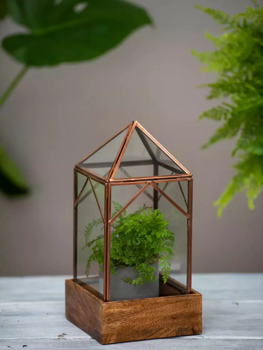 GSC Art Decco Copper And Glass Terrariums - Image 2