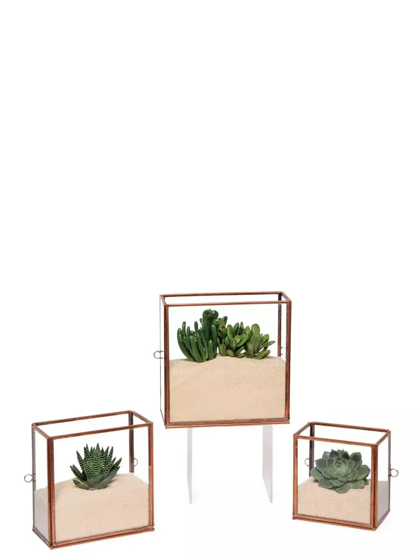 GSC Copper And Glass Terrariums, Set Of 3 - Image 2