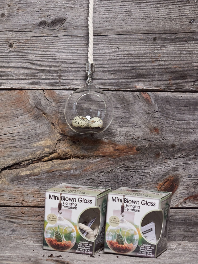 GSC Mini Blown-Glass Hanging Terrarium, Set Of 2 - Image 3