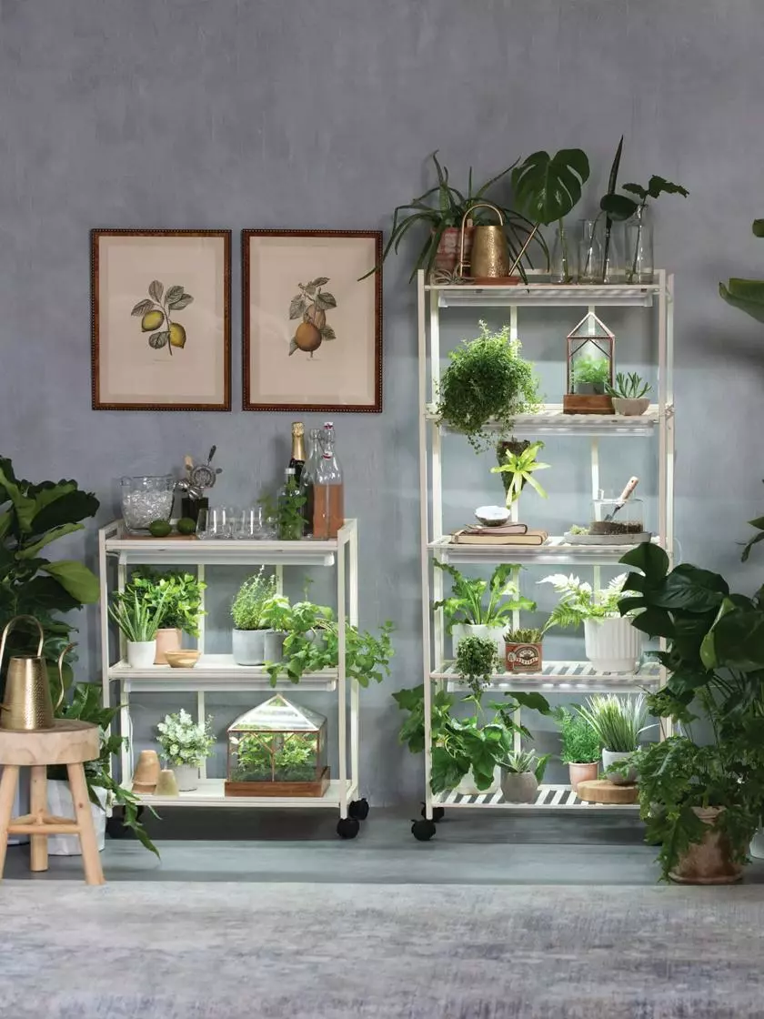 GSC Oslo 2-Tier LED Grow Light Garden, 2 Fixtures - Image 2