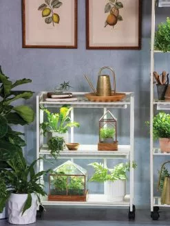 GSC Oslo 2-Tier LED Grow Light Garden, 2 Fixtures