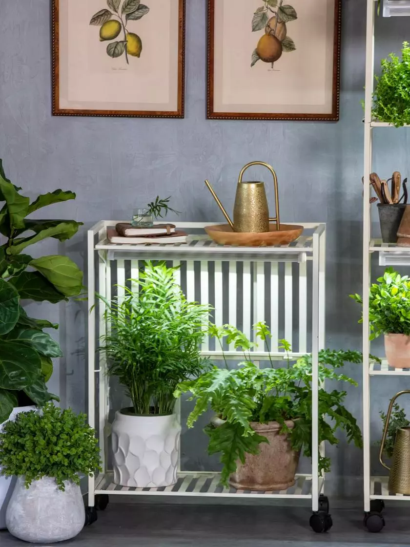 GSC Oslo 2-Tier LED Grow Light Garden, 2 Fixtures - Image 7