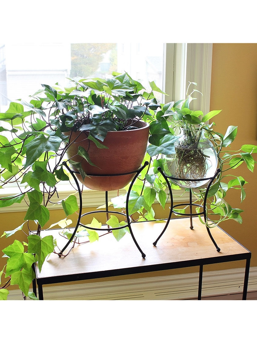 GSC Achla Designs Multi Use Stand - Image 4