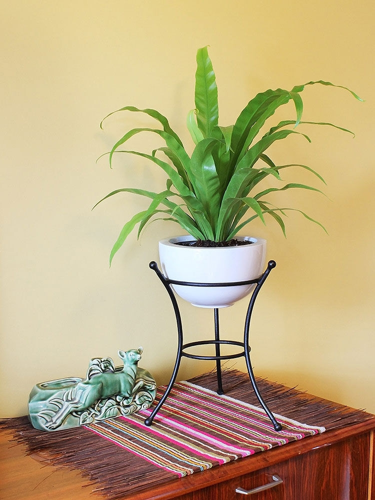 GSC Achla Designs Multi Use Stand - Image 2