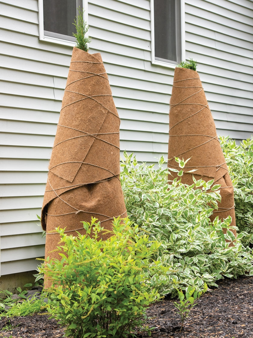 GSC Coir Shrub Wraps 8' X 3', Set Of 2