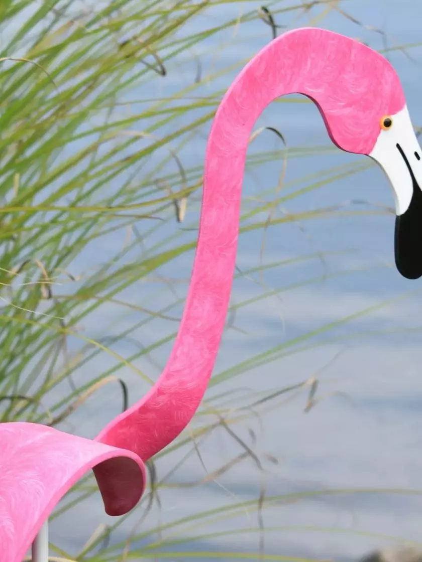 GSC Florida Dancing Birds®, Flamingos - Image 3