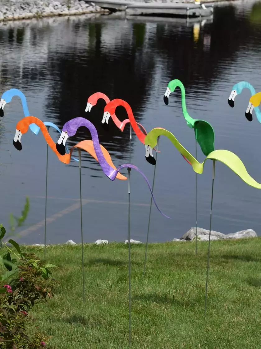 GSC Florida Dancing Birds®, Flamingos