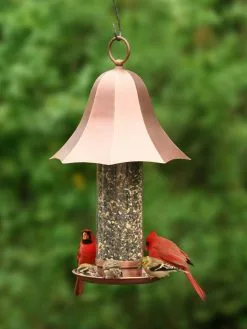 GSC Bell Tube Bird Feeder