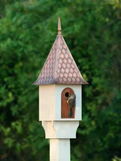GSC Chateau Bird House