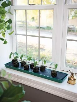 GSC Self-Watering Windowsill Tray
