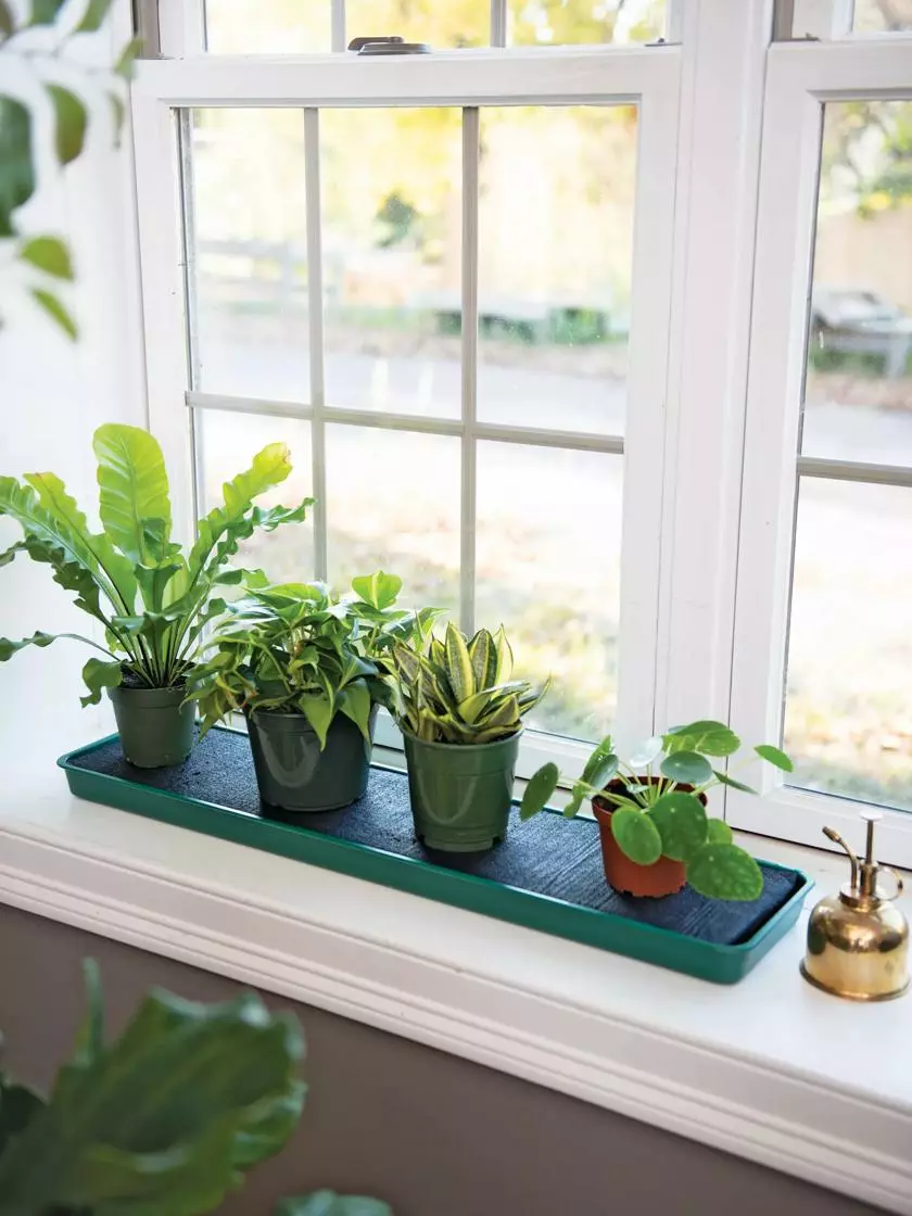 GSC Self-Watering Windowsill Tray - Image 4