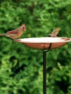 GSC Copper Birdbath With Stake