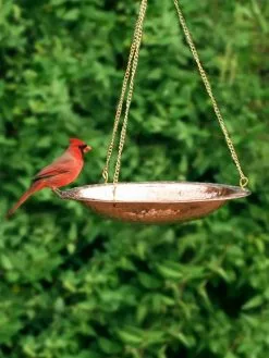 GSC Copper Hanging Birdbath