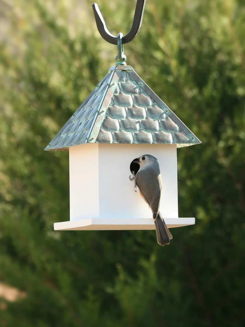 GSC Bird House Bungalow With Verdigris Copper Roof