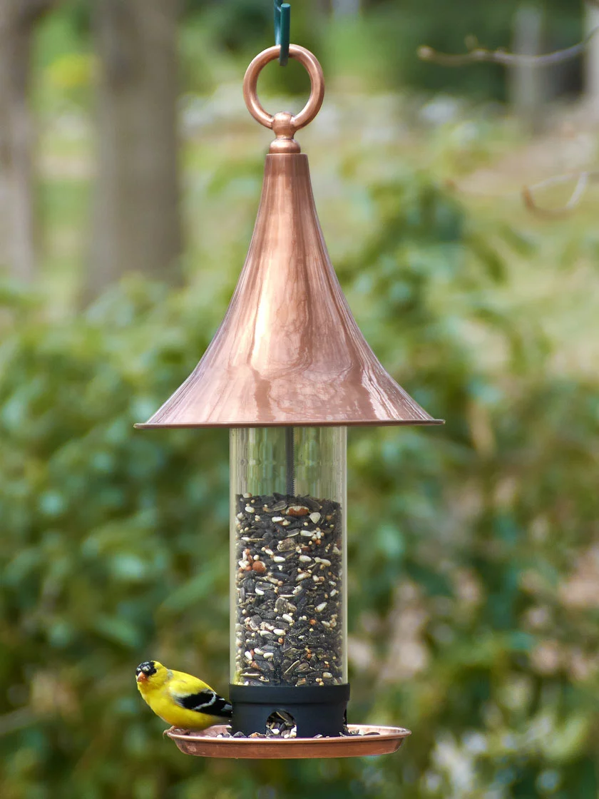 GSC Castella Bird Feeder