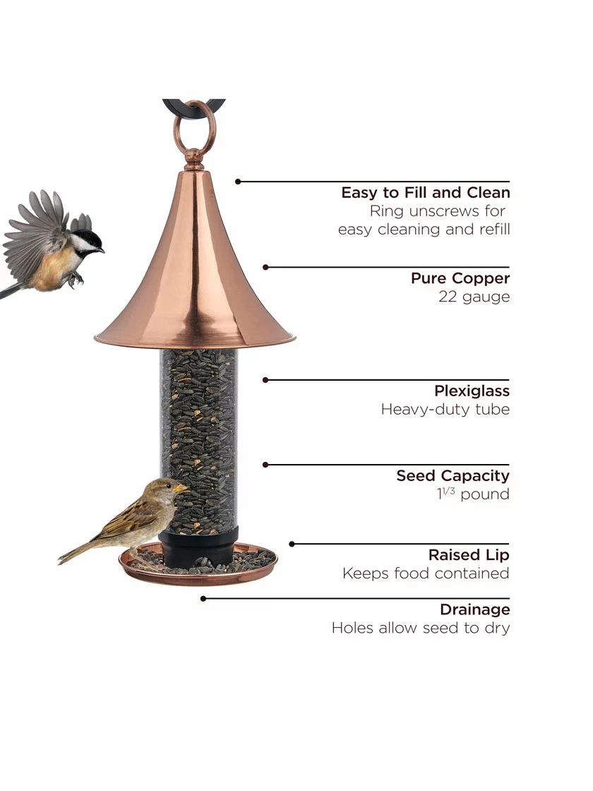 GSC Castella Bird Feeder - Image 3