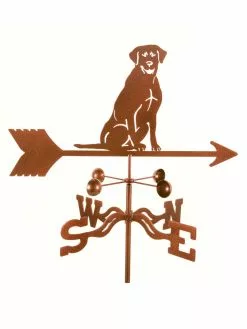 GSC EZ Vane ® Lab Sitting Weathervane