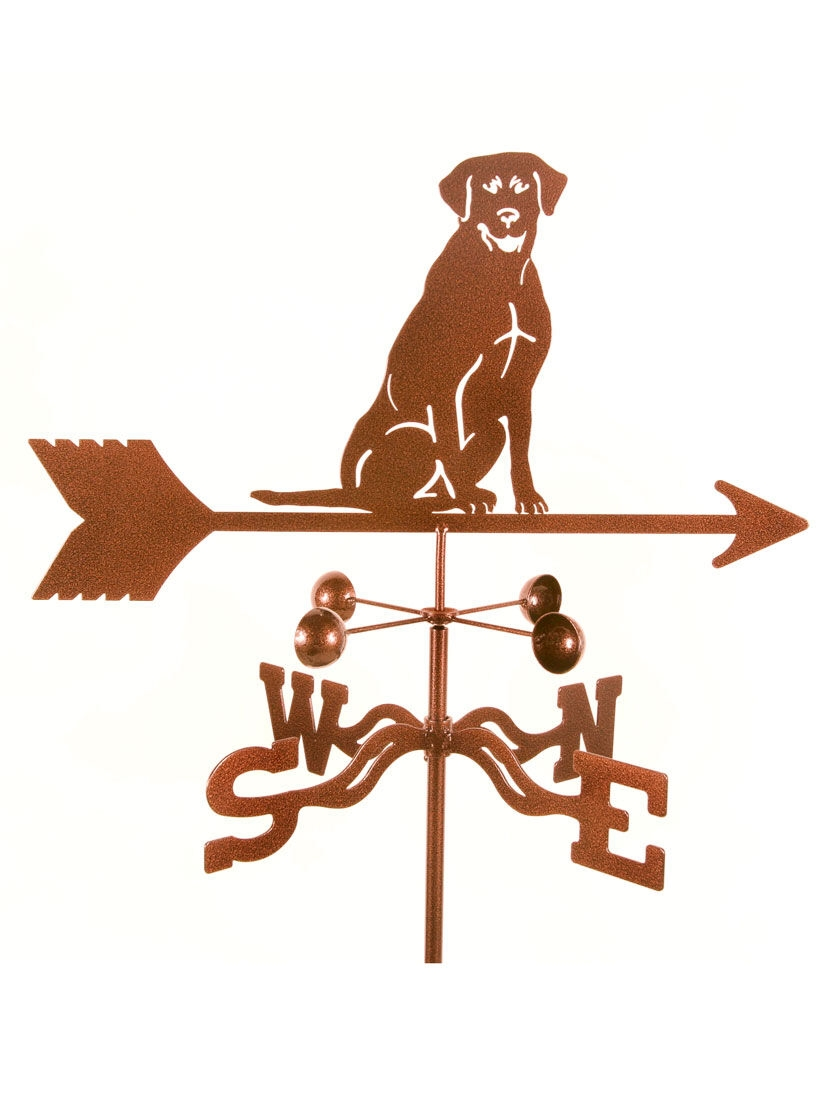 GSC EZ Vane ® Lab Sitting Weathervane