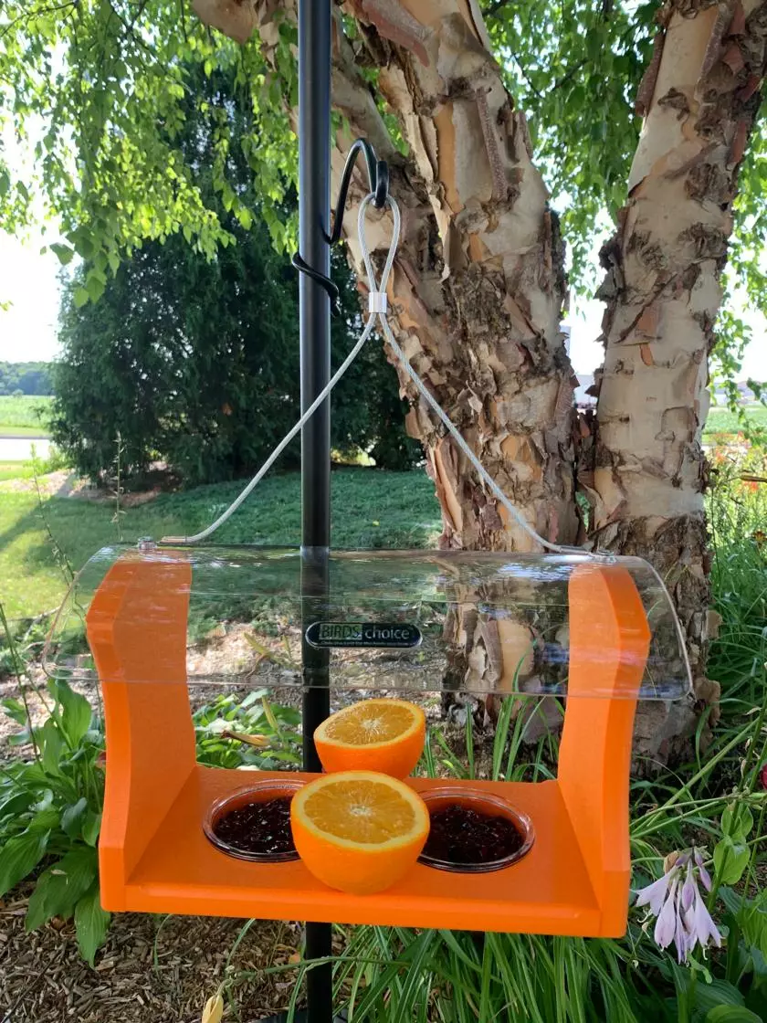 GSC Birds Choice™ Oriole Feeder