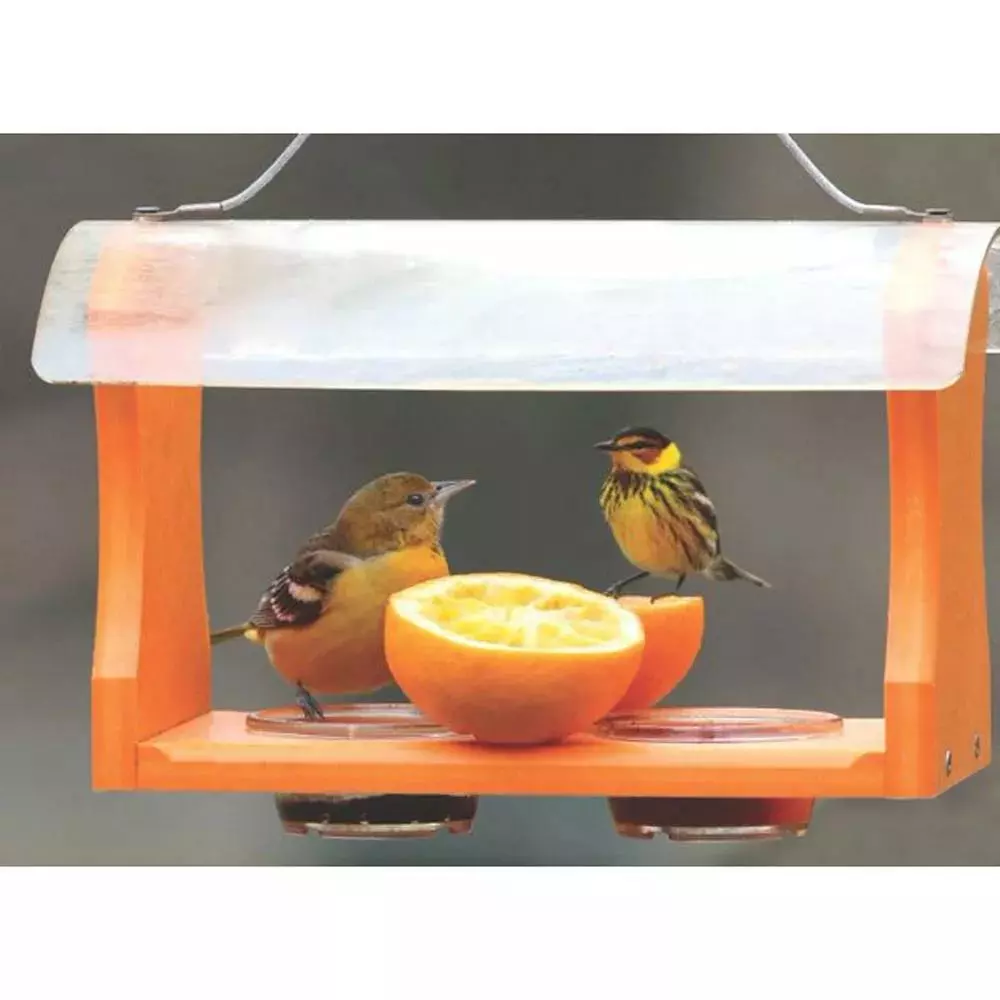 GSC Birds Choice™ Oriole Feeder - Image 3