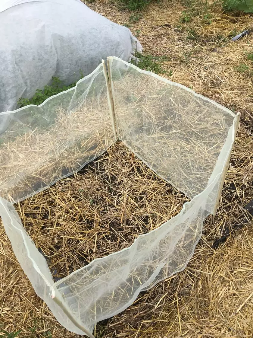 GSC Wind Screen - Image 2