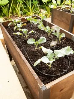 GSC Raised Bed Drip Line Irrigation Kit