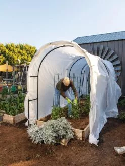 GSC Maxi Garden Hoops With Clips