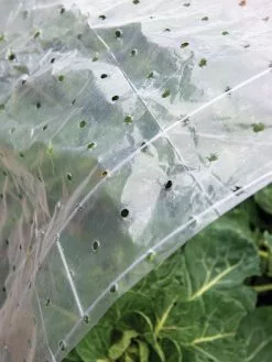 GSC Ventilated Row Cover, 6.5' X 32.5'