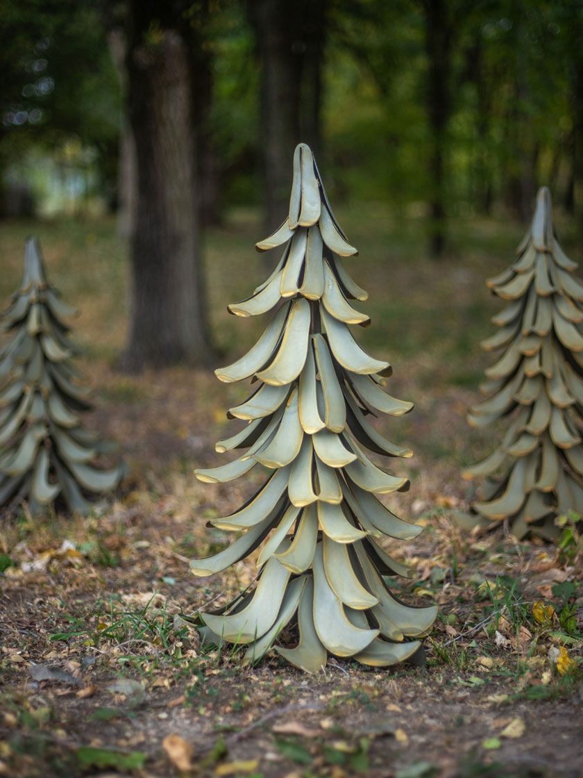 GSC Desert Steel Blue Atlas Cedar - Image 3