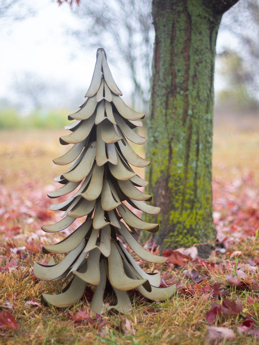 GSC Desert Steel Blue Atlas Cedar