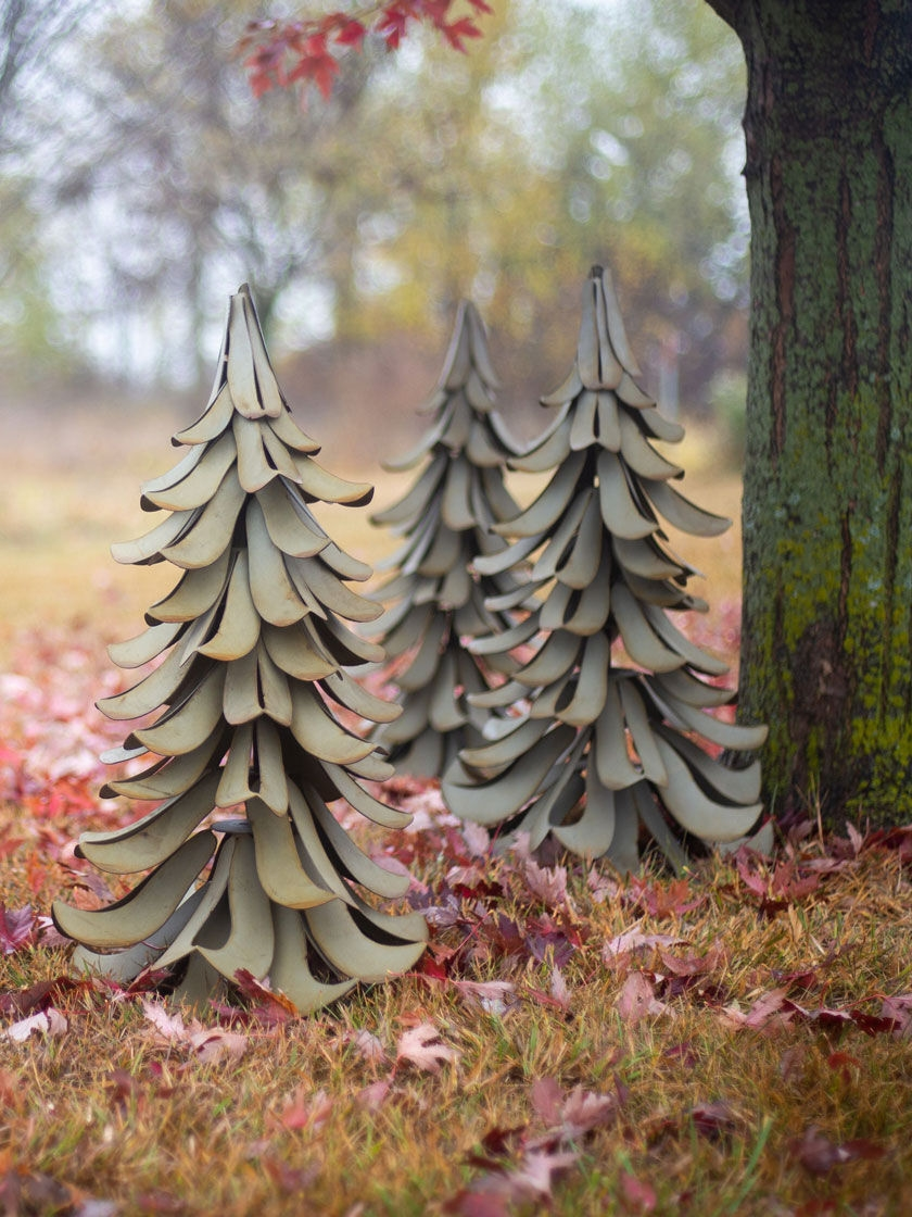 GSC Desert Steel Blue Atlas Cedar - Image 4