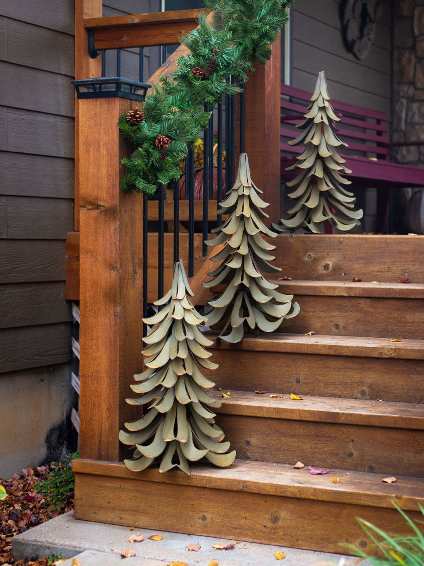 GSC Desert Steel Blue Atlas Cedar - Image 2