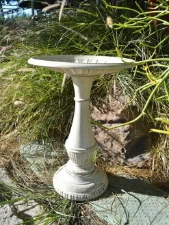 GSC Kingston Birdbath