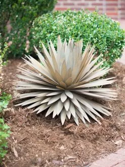 GSC Desert Steel Yucca Plant Sculpture