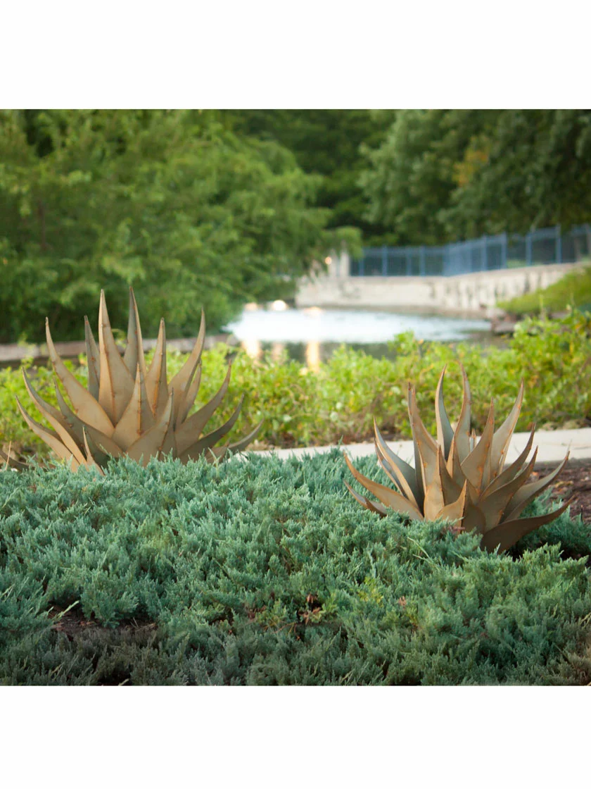 GSC Desert Steel Sharkskin Agave Sculpture - Image 4