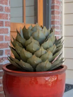 GSC Desert Steel Artichoke Agave Sculpture