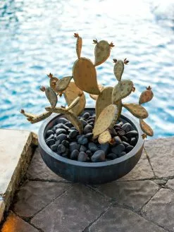 GSC Desert Steel Prickly Pear Cactus Sculpture, Redondo