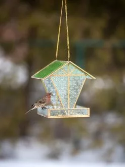 GSC Glass Hut Bird Feeder