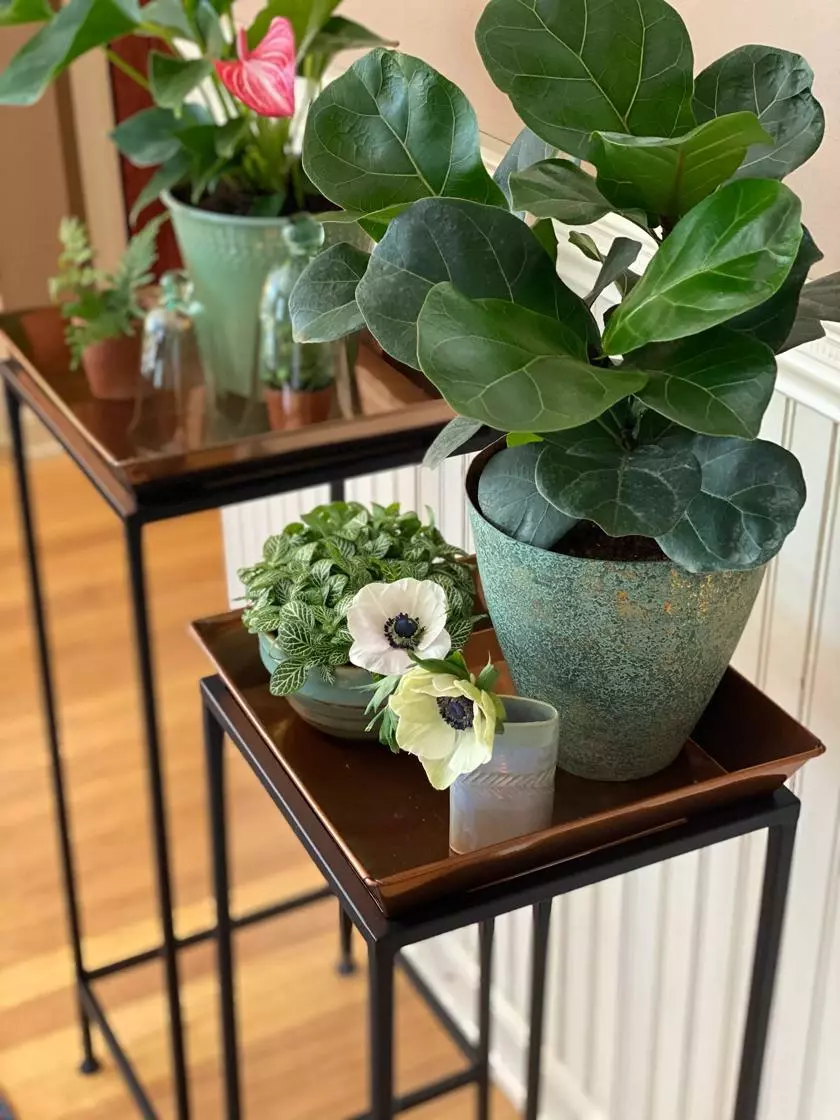 GSC Square Nesting Plant Stands With Trays, Set Of 2 - Image 3