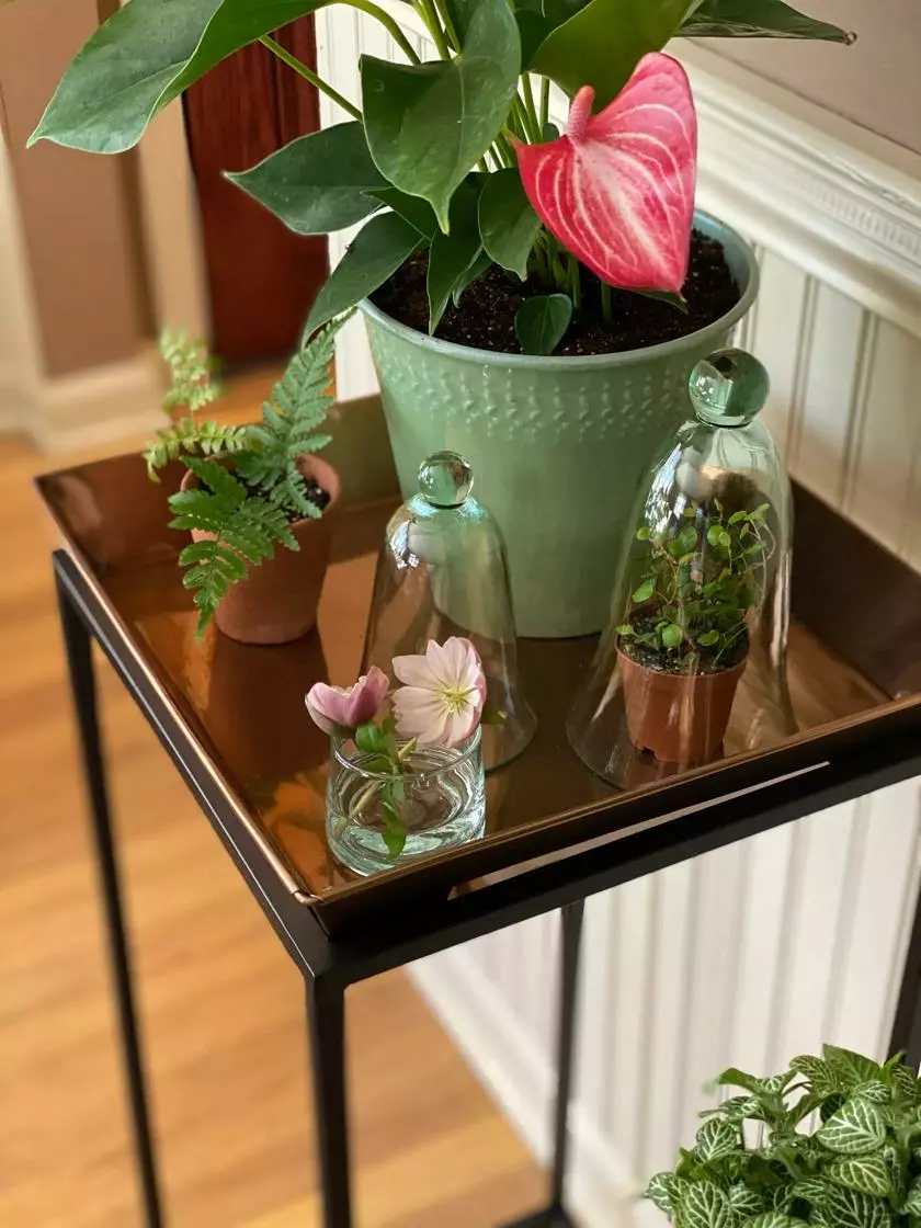 GSC Square Nesting Plant Stands With Trays, Set Of 2 - Image 2