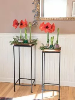 GSC Square Nesting Plant Stands With Trays, Set Of 2