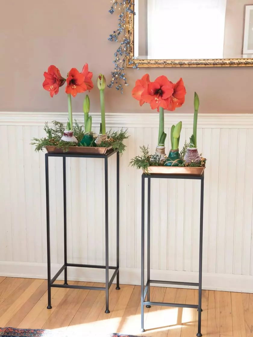 GSC Square Nesting Plant Stands With Trays, Set Of 2